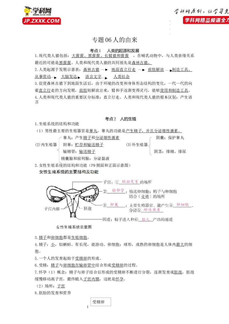 专题06人的由来（知识帮）-备战2023年中考生物一轮复习考点帮（全国通用）_6生物中考复习_2023年中考复习资料_一轮复习_备战2023年中考生物一轮复习考点帮（全国通用）288506454