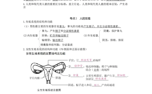 专题06人的由来（知识帮）-备战2023年中考生物一轮复习考点帮（全国通用）_6生物中考复习_2023年中考复习资料_一轮复习_备战2023年中考生物一轮复习考点帮（全国通用）288506454