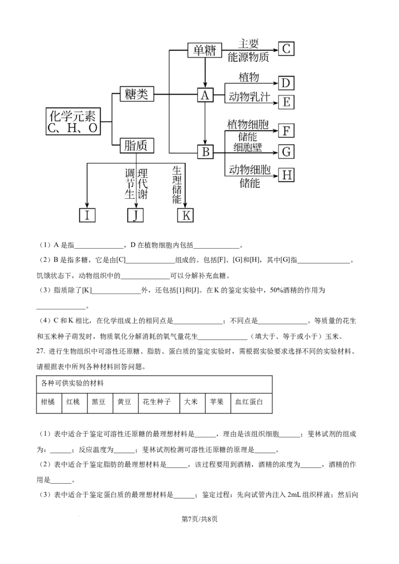 精品解析：山东省泰安市新泰一中老校区（新泰中学）2025-2026学年高一上学期第一次月考生物试题（原卷版）_2025年10月高一试卷