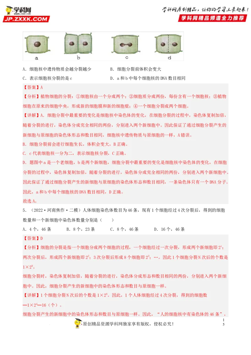 专题03生物体的结构层次（习题帮）（解析版）_6生物中考复习_2023年中考复习资料_一轮复习_备战2023年中考生物一轮复习考点帮（全国通用）288506454