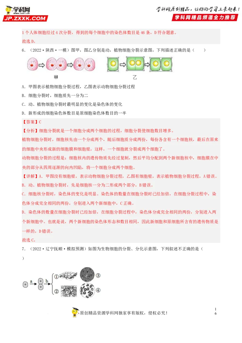 专题03生物体的结构层次（习题帮）（解析版）_6生物中考复习_2023年中考复习资料_一轮复习_备战2023年中考生物一轮复习考点帮（全国通用）288506454