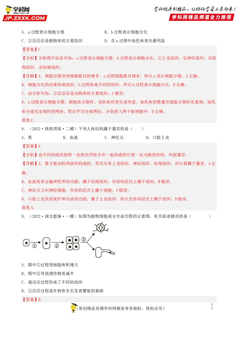 专题03生物体的结构层次（习题帮）（解析版）_6生物中考复习_2023年中考复习资料_一轮复习_备战2023年中考生物一轮复习考点帮（全国通用）288506454