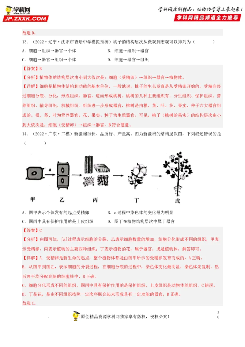 专题03生物体的结构层次（习题帮）（解析版）_6生物中考复习_2023年中考复习资料_一轮复习_备战2023年中考生物一轮复习考点帮（全国通用）288506454