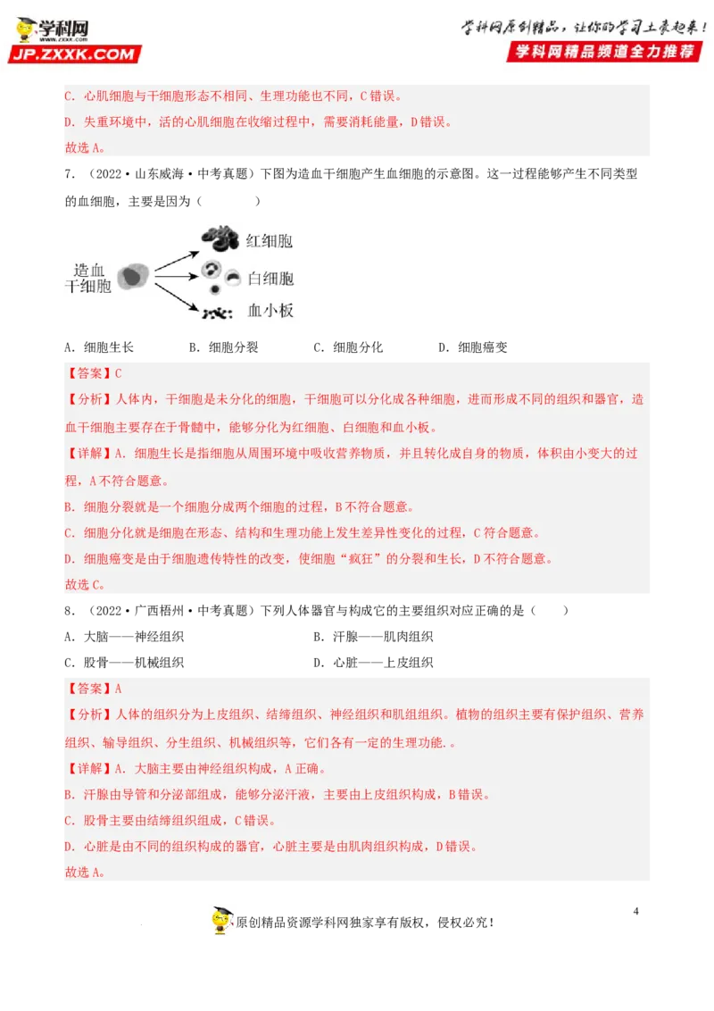 专题03生物体的结构层次（习题帮）（解析版）_6生物中考复习_2023年中考复习资料_一轮复习_备战2023年中考生物一轮复习考点帮（全国通用）288506454