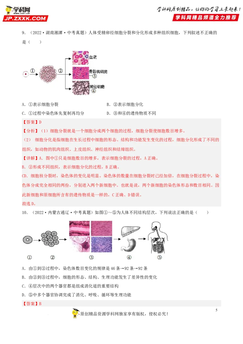 专题03生物体的结构层次（习题帮）（解析版）_6生物中考复习_2023年中考复习资料_一轮复习_备战2023年中考生物一轮复习考点帮（全国通用）288506454