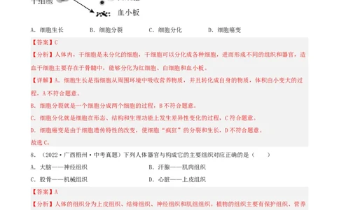 专题03生物体的结构层次（习题帮）（解析版）_6生物中考复习_2023年中考复习资料_一轮复习_备战2023年中考生物一轮复习考点帮（全国通用）288506454