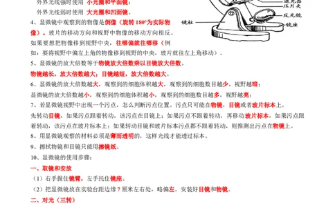 专题03细胞是生命活动的基本单位-2022年中考生物一轮复习抓重点考典型（人教版）（原卷版）_6生物中考复习_2023年中考复习资料_一轮复习_2022年中考生物一轮复习抓重点考典型（人教版）
