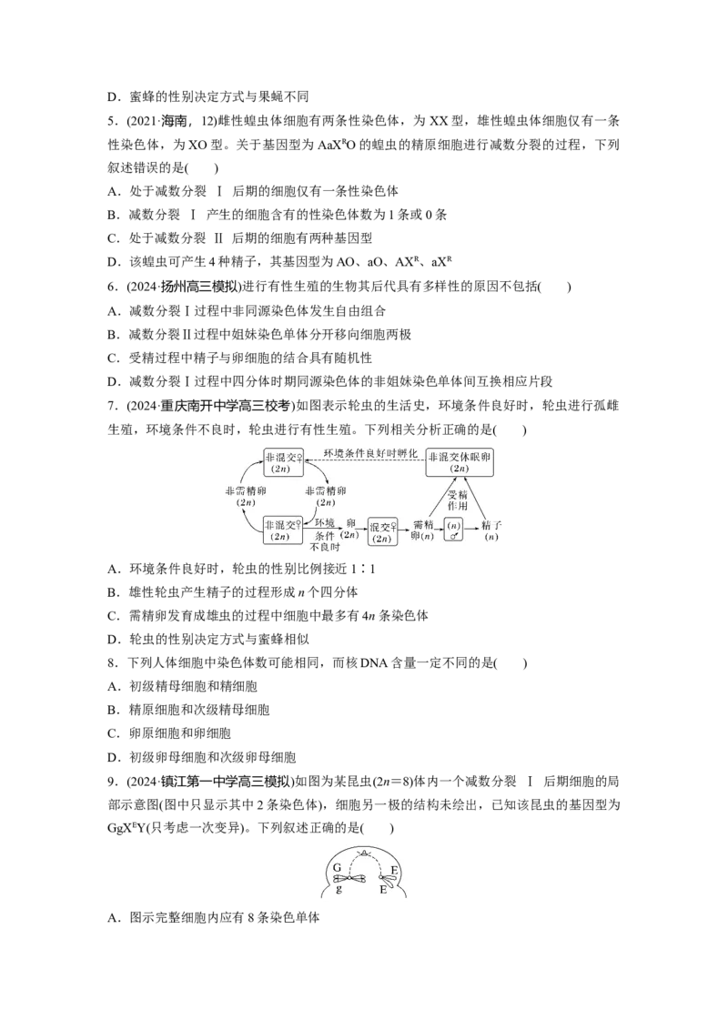 第四单元课时练21减数分裂和受精作用_2025年新高考资料_一轮复习_2025大一轮复习讲义+课件（完结）_2025大一轮复习讲义生物学生用书Word版文档整书_2025一轮复习73练