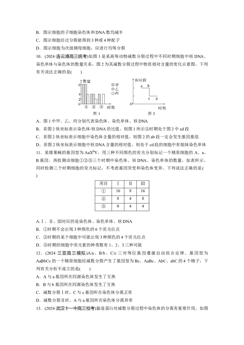 第四单元课时练21减数分裂和受精作用_2025年新高考资料_一轮复习_2025大一轮复习讲义+课件（完结）_2025大一轮复习讲义生物学生用书Word版文档整书_2025一轮复习73练