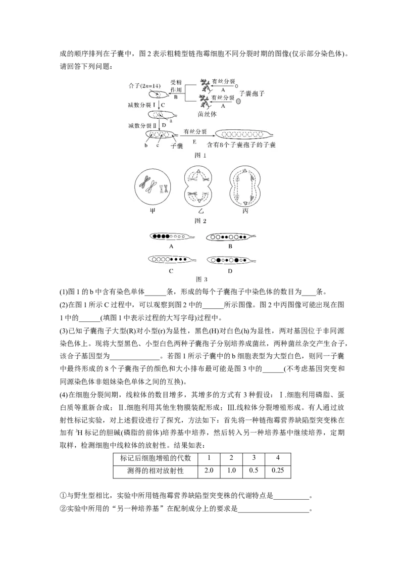 第四单元课时练21减数分裂和受精作用_2025年新高考资料_一轮复习_2025大一轮复习讲义+课件（完结）_2025大一轮复习讲义生物学生用书Word版文档整书_2025一轮复习73练