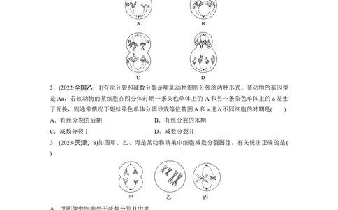第四单元课时练21减数分裂和受精作用_2025年新高考资料_一轮复习_2025大一轮复习讲义+课件（完结）_2025大一轮复习讲义生物学生用书Word版文档整书_2025一轮复习73练