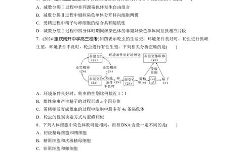 第四单元课时练21减数分裂和受精作用_2025年新高考资料_一轮复习_2025大一轮复习讲义+课件（完结）_2025大一轮复习讲义生物学生用书Word版文档整书_2025一轮复习73练