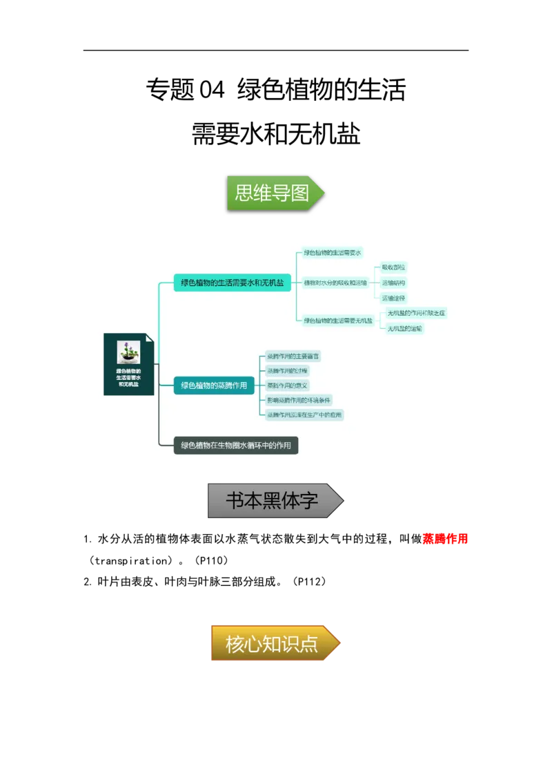 专题04绿色植物的生活需要水和无机盐-备战2023年中考生物核心考点梳理与必背_6生物中考复习_2023年中考复习资料_专项复习_备战2023年中考生物核心考点梳理与必背