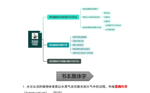 专题04绿色植物的生活需要水和无机盐-备战2023年中考生物核心考点梳理与必背_6生物中考复习_2023年中考复习资料_专项复习_备战2023年中考生物核心考点梳理与必背