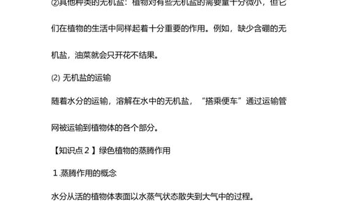 专题04绿色植物的生活需要水和无机盐-备战2023年中考生物核心考点梳理与必背_6生物中考复习_2023年中考复习资料_专项复习_备战2023年中考生物核心考点梳理与必背