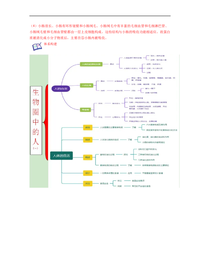 专题04生物圈中的人（一）背诵清单+跟踪训练（教师版）_6生物中考复习_2023年中考复习资料_一轮复习_2023年中考生物一轮大单元复习过过过（全国通用）