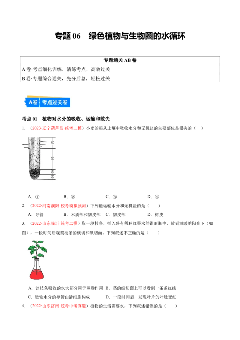 专题06绿色植物与生物圈的水循环（原卷版）_6生物中考复习_2024年中考复习资料_一轮复习资料_❤备战2024年中考生物一轮复习考点帮（全国通用）_配套练习（原卷版+解析版）