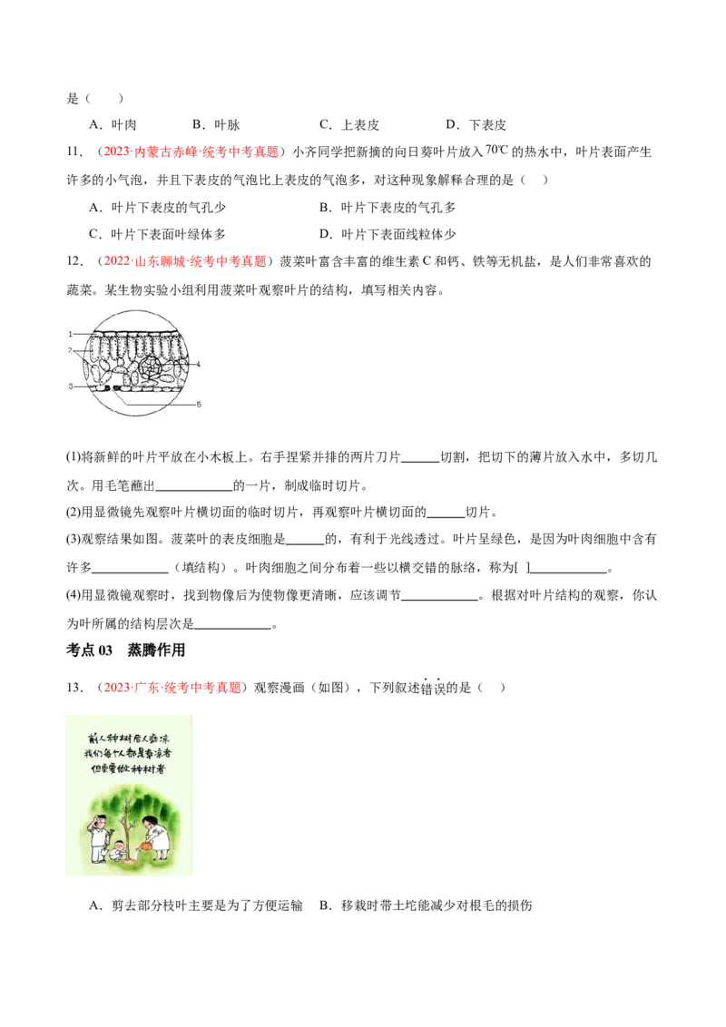 专题06绿色植物与生物圈的水循环（原卷版）_6生物中考复习_2024年中考复习资料_一轮复习资料_❤备战2024年中考生物一轮复习考点帮（全国通用）_配套练习（原卷版+解析版）