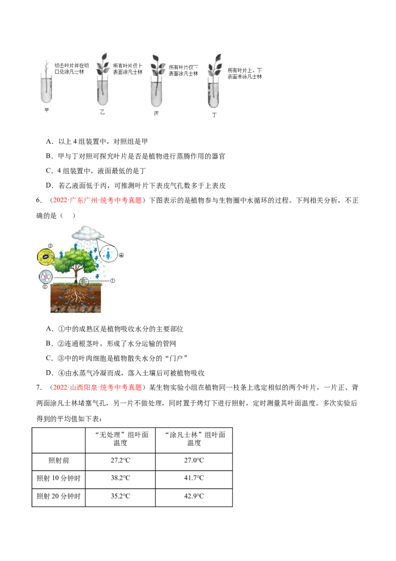 专题06绿色植物与生物圈的水循环（原卷版）_6生物中考复习_2024年中考复习资料_一轮复习资料_❤备战2024年中考生物一轮复习考点帮（全国通用）_配套练习（原卷版+解析版）