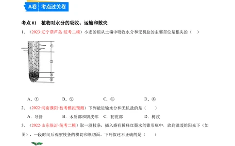 专题06绿色植物与生物圈的水循环（原卷版）_6生物中考复习_2024年中考复习资料_一轮复习资料_❤备战2024年中考生物一轮复习考点帮（全国通用）_配套练习（原卷版+解析版）