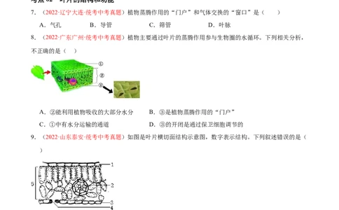 专题06绿色植物与生物圈的水循环（原卷版）_6生物中考复习_2024年中考复习资料_一轮复习资料_❤备战2024年中考生物一轮复习考点帮（全国通用）_配套练习（原卷版+解析版）