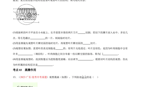 专题06绿色植物与生物圈的水循环（原卷版）_6生物中考复习_2024年中考复习资料_一轮复习资料_❤备战2024年中考生物一轮复习考点帮（全国通用）_配套练习（原卷版+解析版）