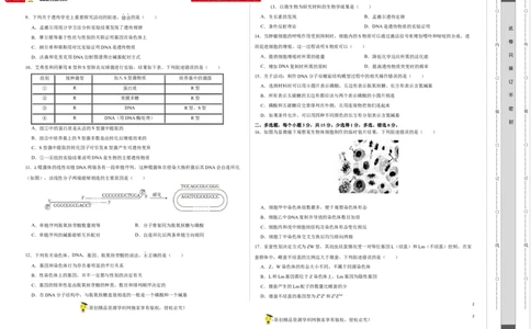 第四单元有丝分裂及减数分裂详解（A卷新题基础练）-2022年高考生物一轮复习单元滚动双测卷（考试版）_新高考复习资料_2023年新高考复习资料_一轮复习