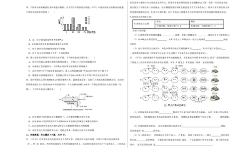 第四单元有丝分裂及减数分裂详解（A卷新题基础练）-2022年高考生物一轮复习单元滚动双测卷（考试版）_新高考复习资料_2023年新高考复习资料_一轮复习