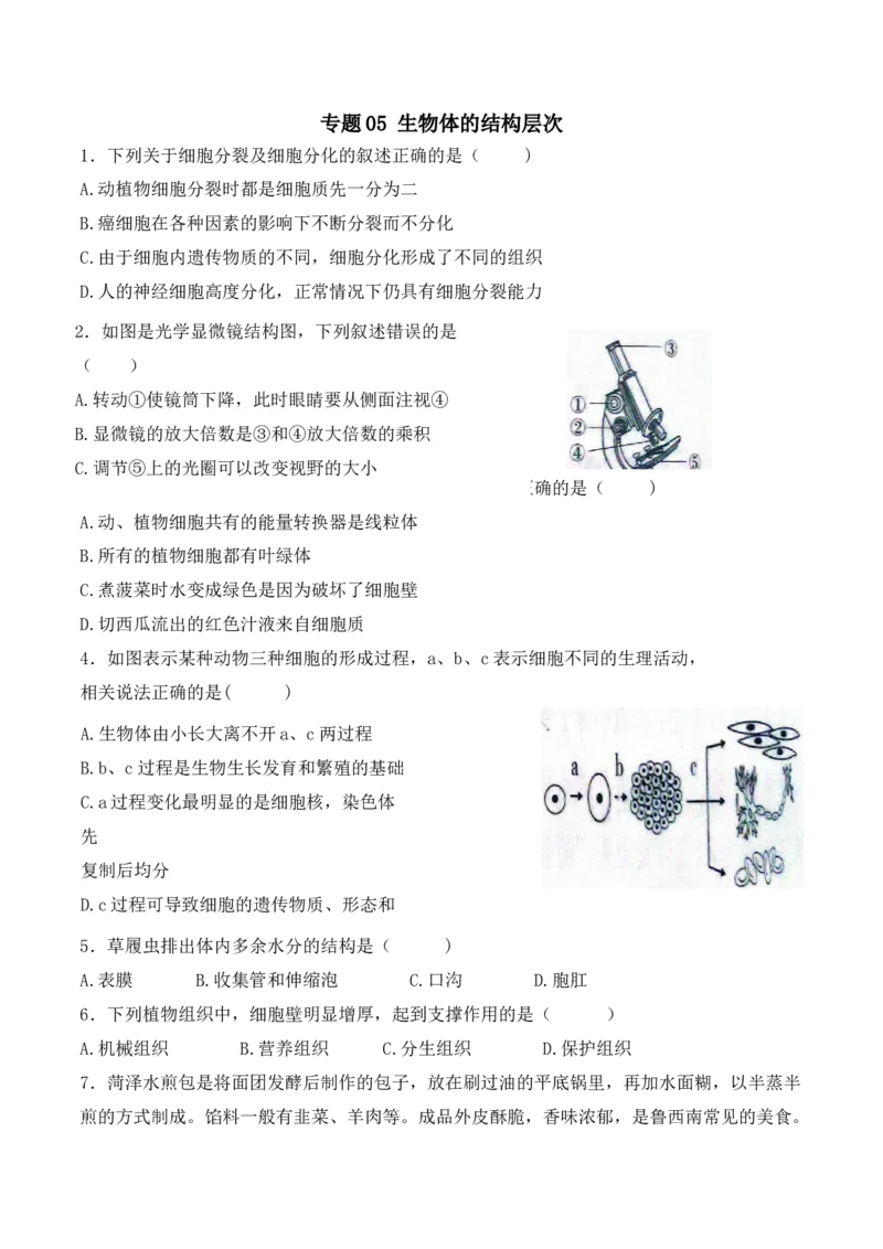 专题05生物体的结构层次（原卷版）_6生物中考复习_2024年中考复习资料_一轮复习资料_完精准复习课件精讲ppt+习题精练备战2024年中考生物一轮复习全考点通关_配套练习