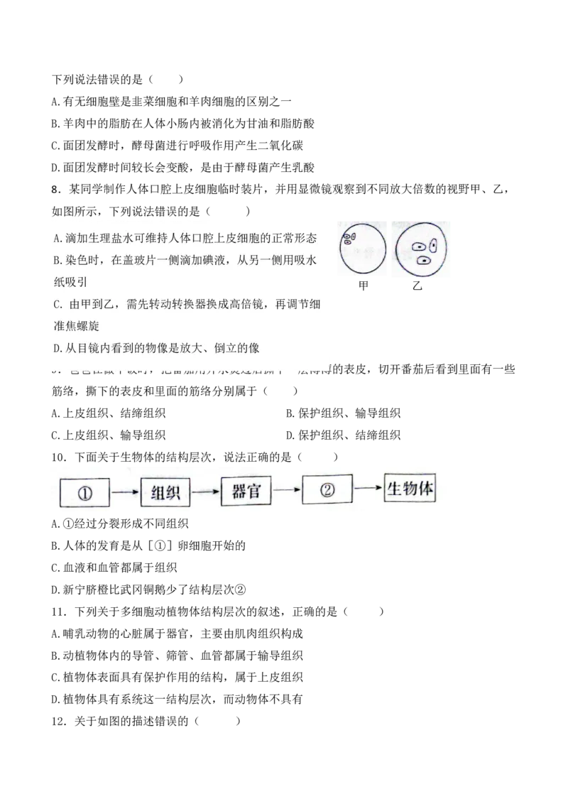 专题05生物体的结构层次（原卷版）_6生物中考复习_2024年中考复习资料_一轮复习资料_完精准复习课件精讲ppt+习题精练备战2024年中考生物一轮复习全考点通关_配套练习