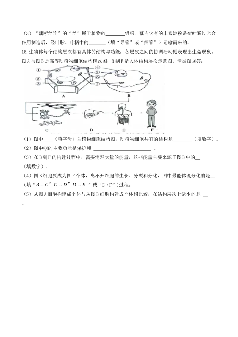 专题05生物体的结构层次（原卷版）_6生物中考复习_2024年中考复习资料_一轮复习资料_完精准复习课件精讲ppt+习题精练备战2024年中考生物一轮复习全考点通关_配套练习