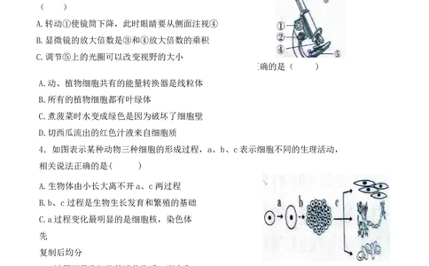 专题05生物体的结构层次（原卷版）_6生物中考复习_2024年中考复习资料_一轮复习资料_完精准复习课件精讲ppt+习题精练备战2024年中考生物一轮复习全考点通关_配套练习