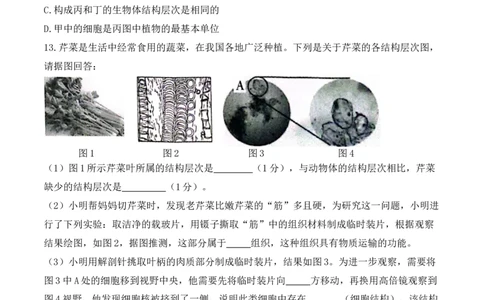 专题05生物体的结构层次（原卷版）_6生物中考复习_2024年中考复习资料_一轮复习资料_完精准复习课件精讲ppt+习题精练备战2024年中考生物一轮复习全考点通关_配套练习