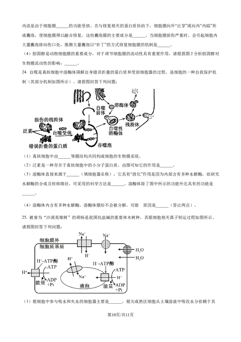 精品解析：山东省聊城市2025-2026学年高一上学期11月期中生物试题（原卷版）_2025年12月高一试卷_251211山东省聊城市2025-2026学年高一上学期11月期中（全）
