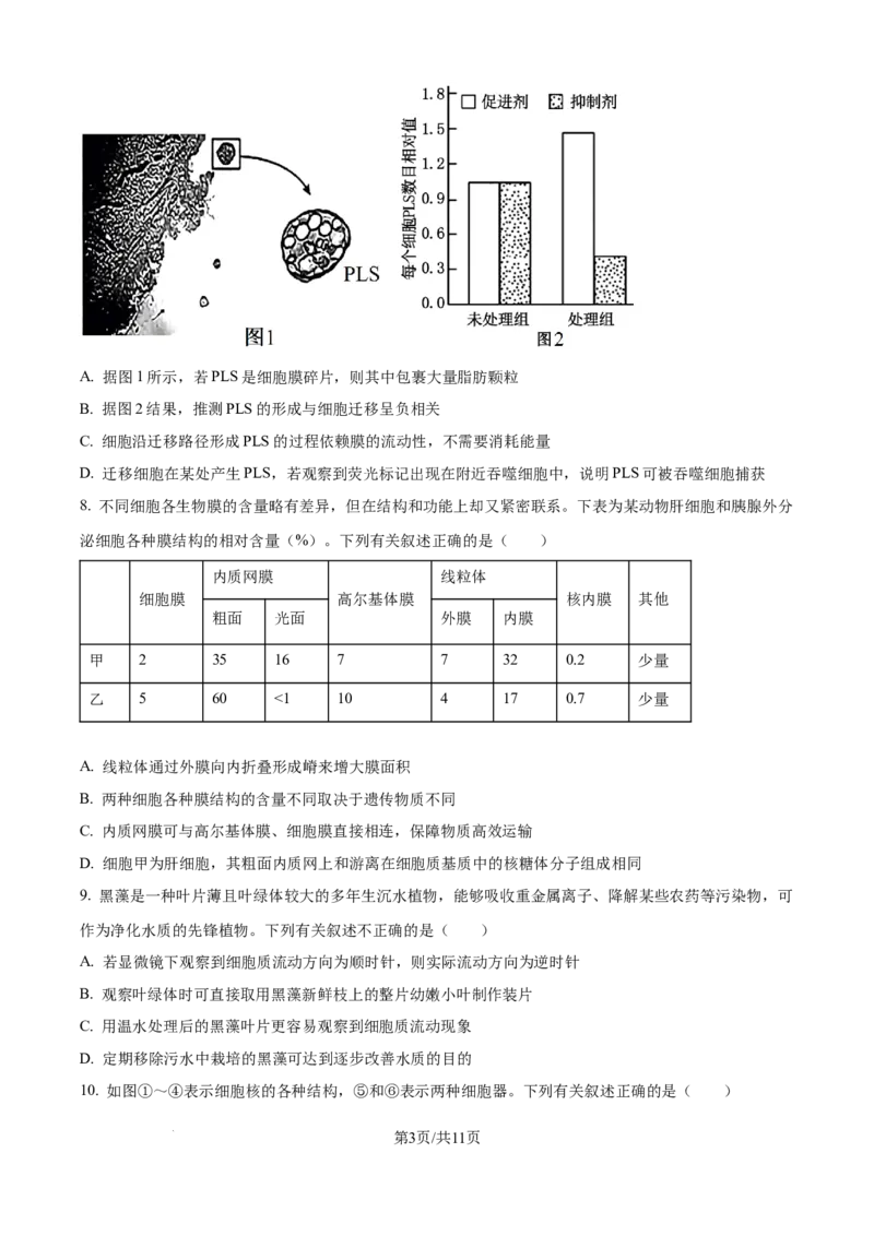 精品解析：山东省聊城市2025-2026学年高一上学期11月期中生物试题（原卷版）_2025年12月高一试卷_251211山东省聊城市2025-2026学年高一上学期11月期中（全）