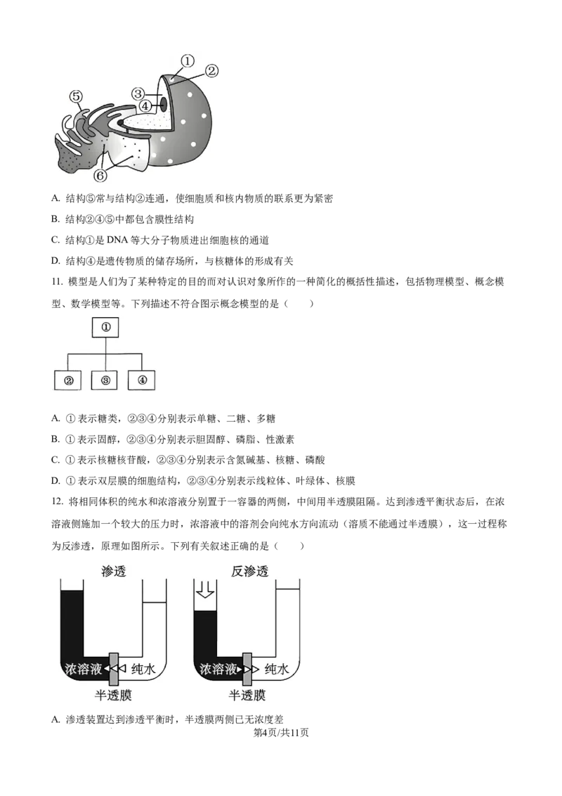 精品解析：山东省聊城市2025-2026学年高一上学期11月期中生物试题（原卷版）_2025年12月高一试卷_251211山东省聊城市2025-2026学年高一上学期11月期中（全）