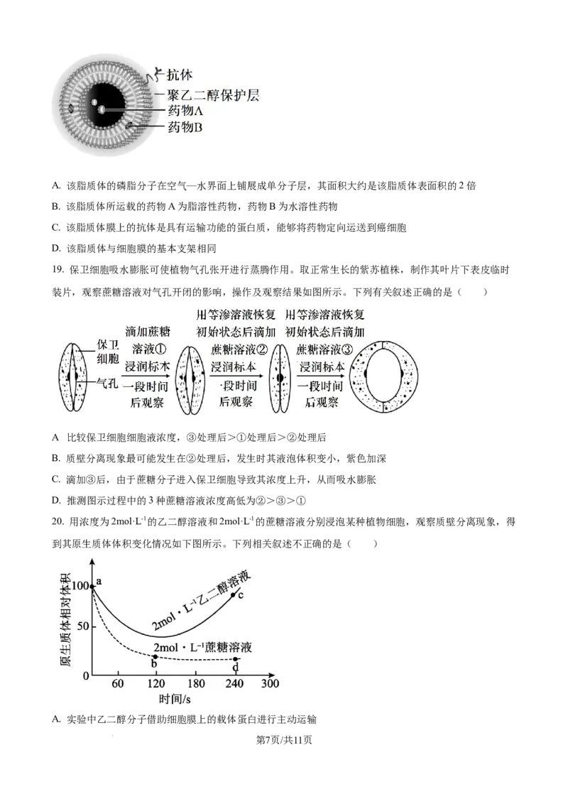 精品解析：山东省聊城市2025-2026学年高一上学期11月期中生物试题（原卷版）_2025年12月高一试卷_251211山东省聊城市2025-2026学年高一上学期11月期中（全）