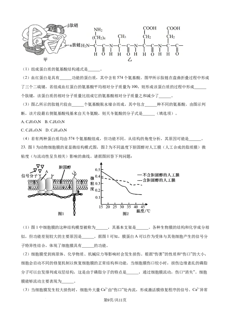 精品解析：山东省聊城市2025-2026学年高一上学期11月期中生物试题（原卷版）_2025年12月高一试卷_251211山东省聊城市2025-2026学年高一上学期11月期中（全）