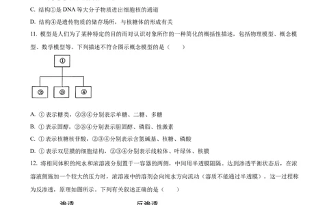 精品解析：山东省聊城市2025-2026学年高一上学期11月期中生物试题（原卷版）_2025年12月高一试卷_251211山东省聊城市2025-2026学年高一上学期11月期中（全）