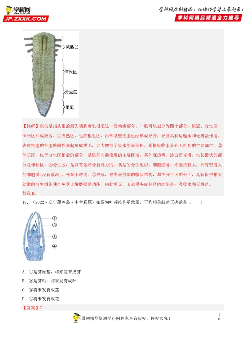 专题04生物圈中的绿色植物（习题帮）（解析版）_6生物中考复习_2023年中考复习资料_一轮复习_备战2023年中考生物一轮复习考点帮（全国通用）288506454