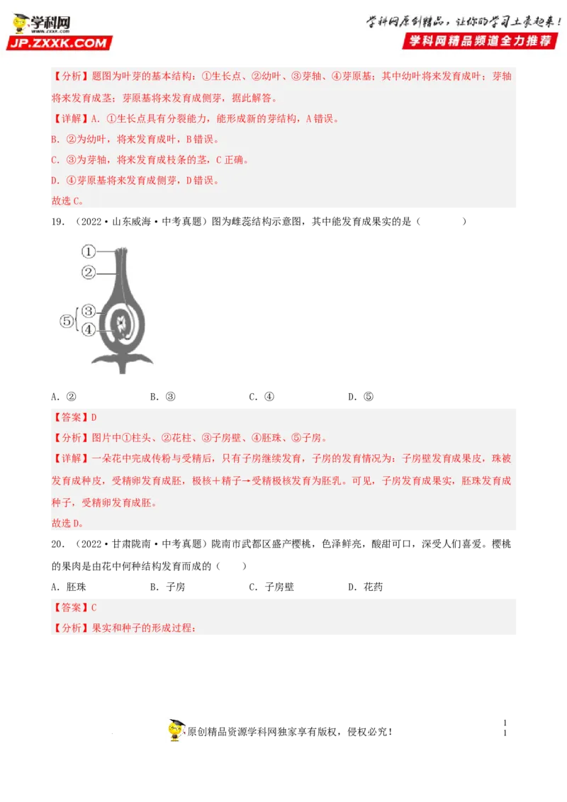 专题04生物圈中的绿色植物（习题帮）（解析版）_6生物中考复习_2023年中考复习资料_一轮复习_备战2023年中考生物一轮复习考点帮（全国通用）288506454