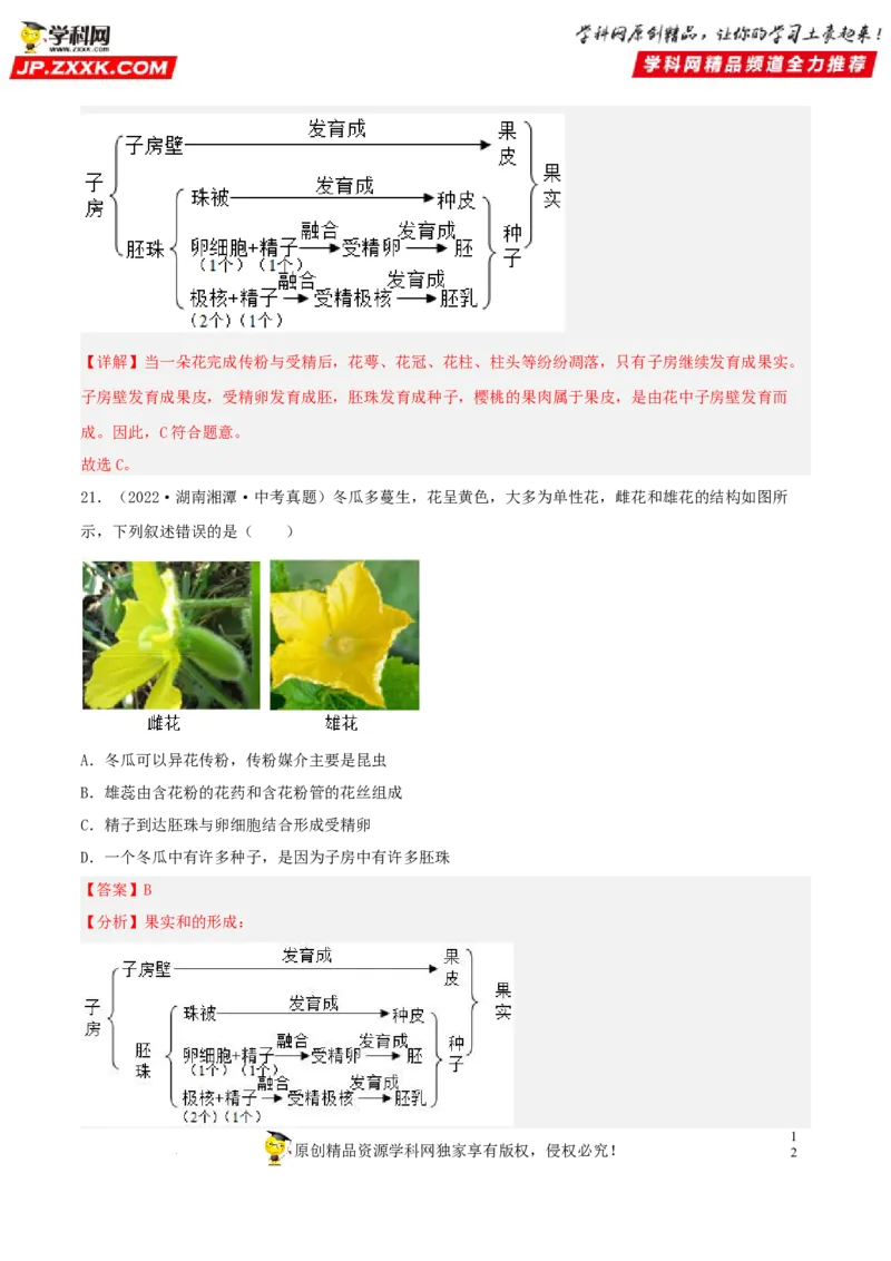 专题04生物圈中的绿色植物（习题帮）（解析版）_6生物中考复习_2023年中考复习资料_一轮复习_备战2023年中考生物一轮复习考点帮（全国通用）288506454