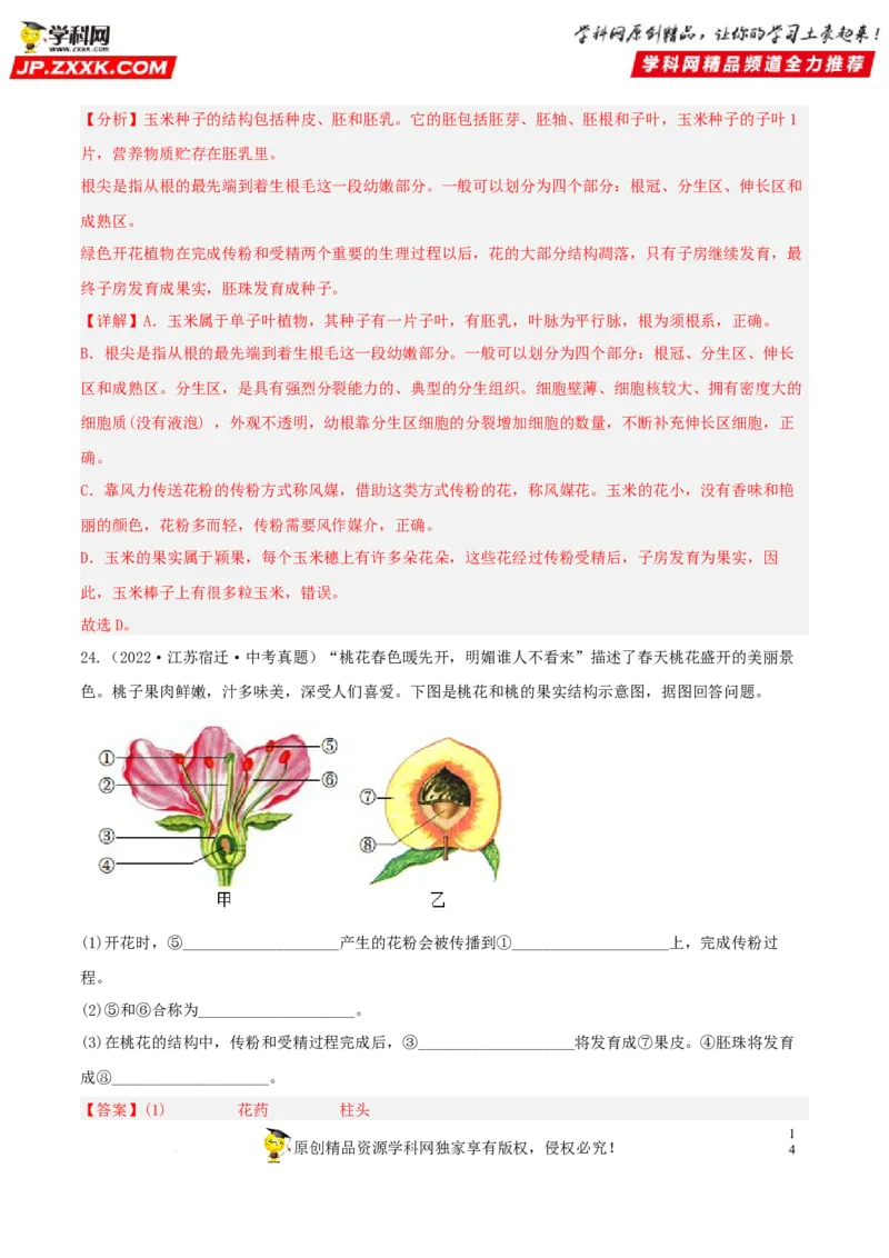 专题04生物圈中的绿色植物（习题帮）（解析版）_6生物中考复习_2023年中考复习资料_一轮复习_备战2023年中考生物一轮复习考点帮（全国通用）288506454