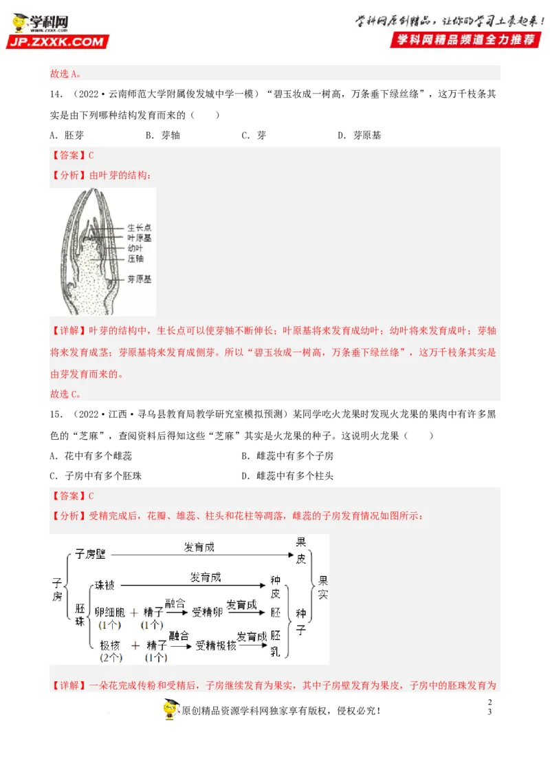 专题04生物圈中的绿色植物（习题帮）（解析版）_6生物中考复习_2023年中考复习资料_一轮复习_备战2023年中考生物一轮复习考点帮（全国通用）288506454