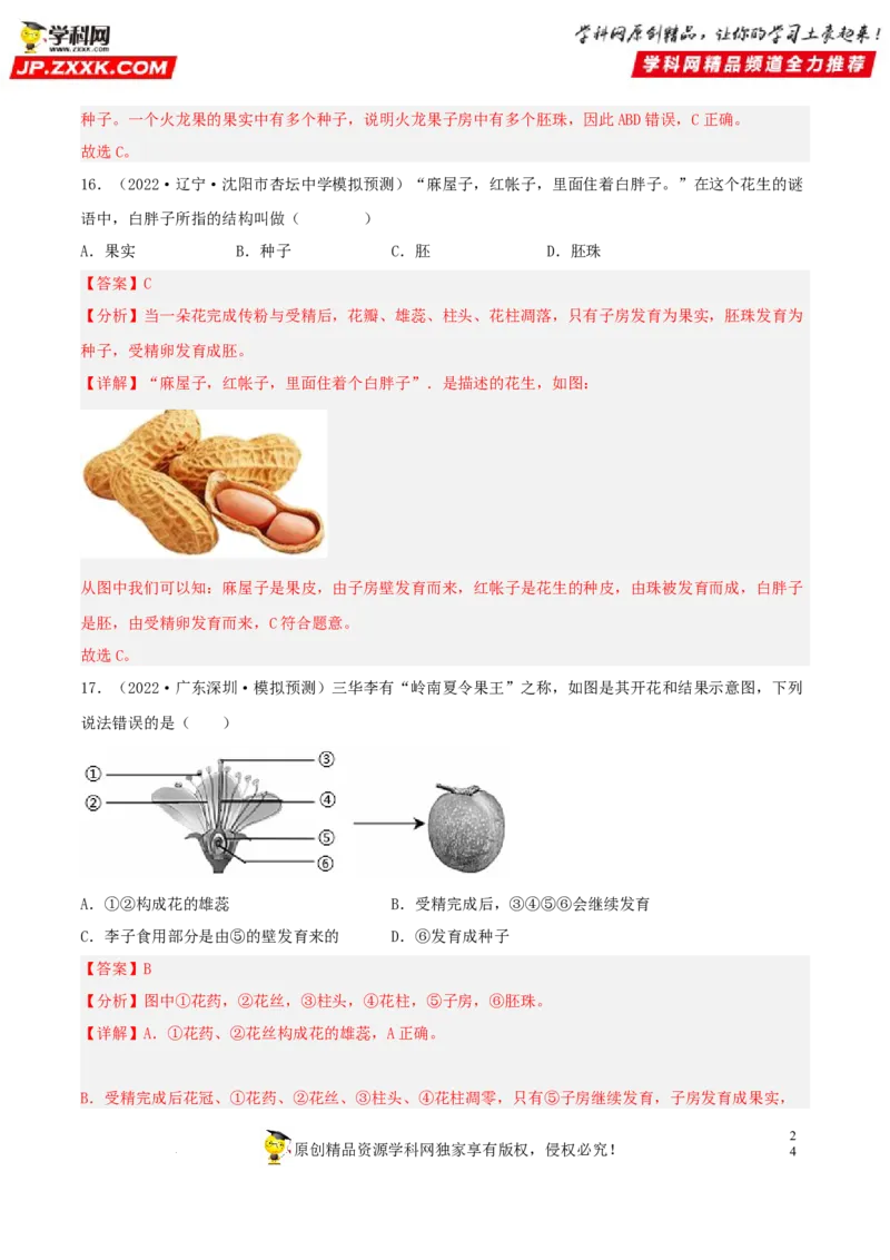 专题04生物圈中的绿色植物（习题帮）（解析版）_6生物中考复习_2023年中考复习资料_一轮复习_备战2023年中考生物一轮复习考点帮（全国通用）288506454