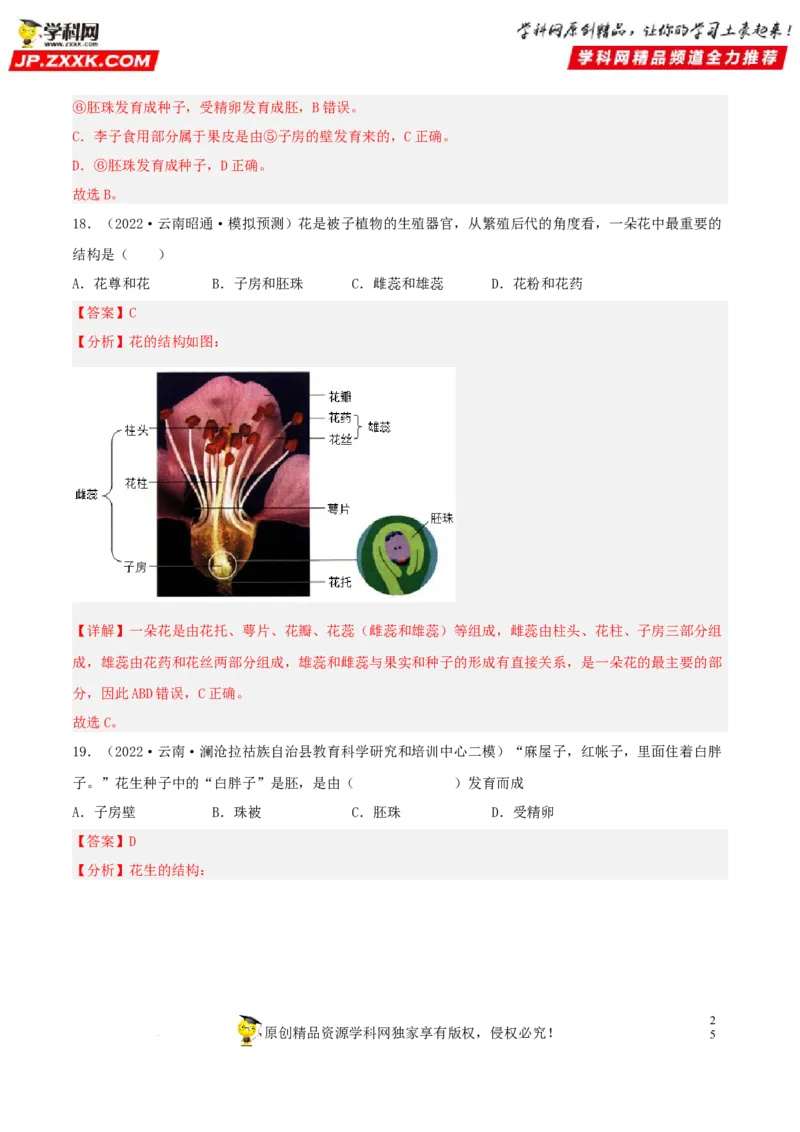 专题04生物圈中的绿色植物（习题帮）（解析版）_6生物中考复习_2023年中考复习资料_一轮复习_备战2023年中考生物一轮复习考点帮（全国通用）288506454