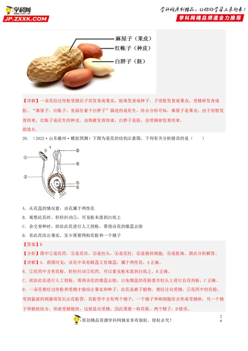 专题04生物圈中的绿色植物（习题帮）（解析版）_6生物中考复习_2023年中考复习资料_一轮复习_备战2023年中考生物一轮复习考点帮（全国通用）288506454