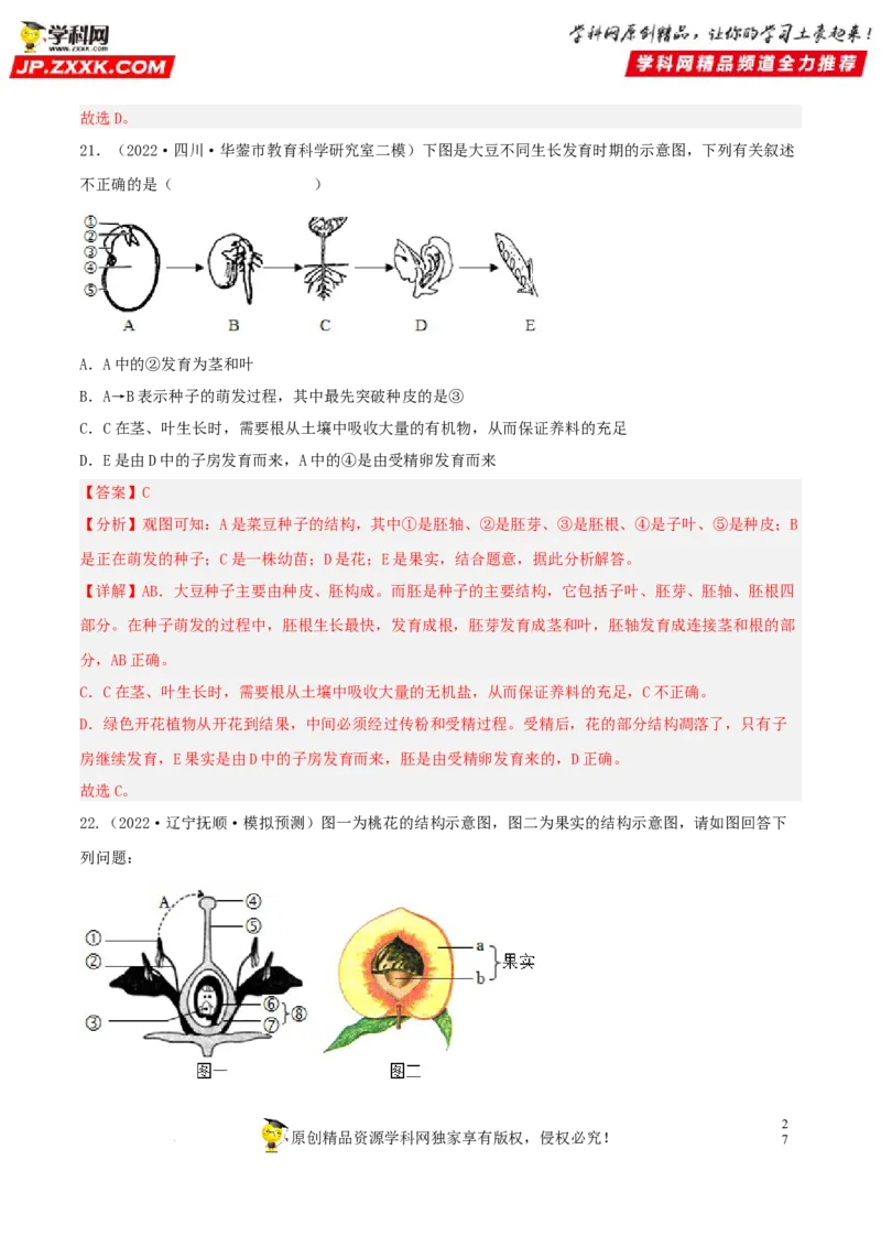 专题04生物圈中的绿色植物（习题帮）（解析版）_6生物中考复习_2023年中考复习资料_一轮复习_备战2023年中考生物一轮复习考点帮（全国通用）288506454