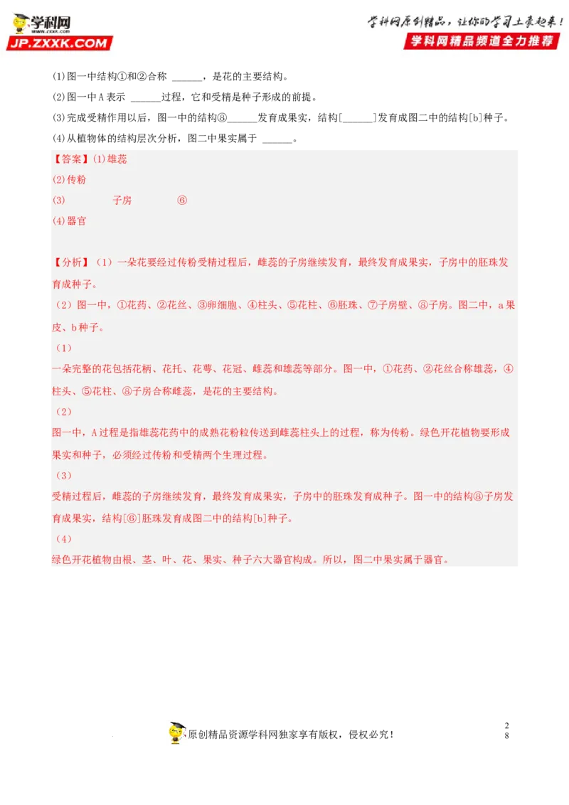 专题04生物圈中的绿色植物（习题帮）（解析版）_6生物中考复习_2023年中考复习资料_一轮复习_备战2023年中考生物一轮复习考点帮（全国通用）288506454