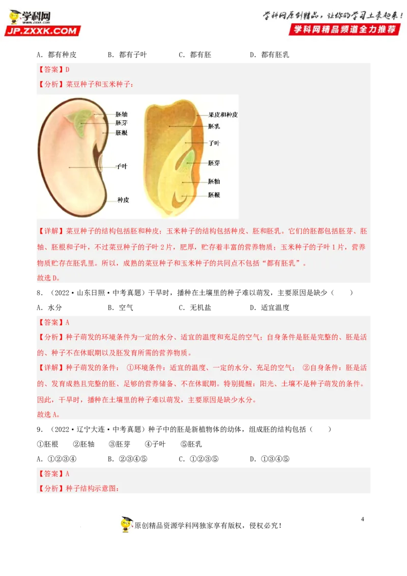 专题04生物圈中的绿色植物（习题帮）（解析版）_6生物中考复习_2023年中考复习资料_一轮复习_备战2023年中考生物一轮复习考点帮（全国通用）288506454